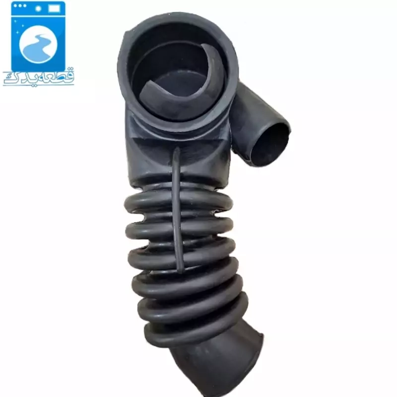 خرطومی زیردیگ ارج_۴۲۲۴