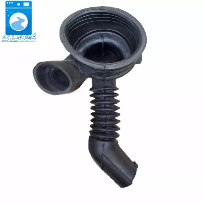 خرطومی ابسال ۵۳۶