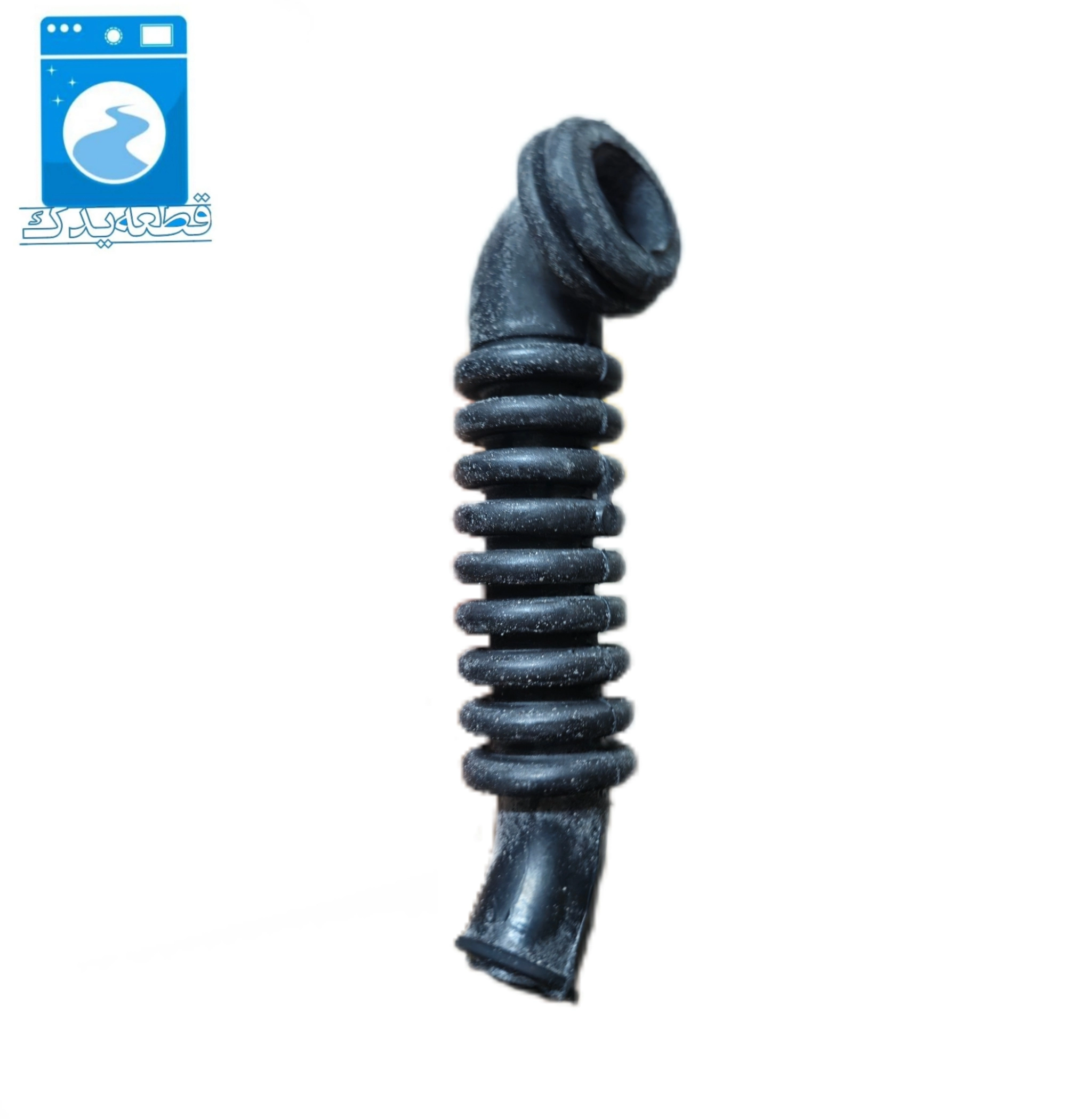 خرطومی ارج_۴۲۲۴